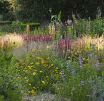 Andrew Wilson - Hertfordshire Gardens