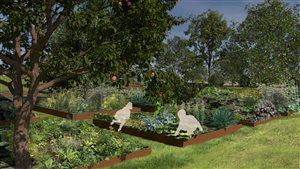 Chloe Hamblen - Edible Community Garden - London College of Garden Design