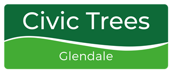 Glendale Civic Trees