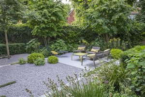 Charlotte Rowe Garden Design; Principal Designer Charlotte Rowe MSGD - Chiswick Garden - Photo Marianne Majerus