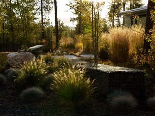 A garden in the Rockies, Washington State USA. Includes ponderosa pines, aspen, dwarf pines, ornamental grasses and boulders from the site.
