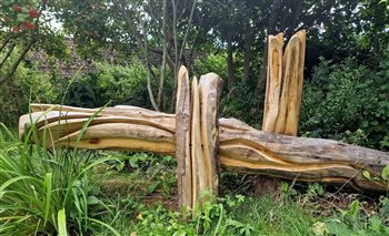 I sculpt wood as 'Deadwood Art' installations.  These provide the garden ecosystem with often missing habitat - standing deadwood.  I replicate the habitat requirements with a sculptural twist.