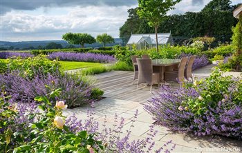 The Garden at Ridgmount won the 2017 SGD Large Residential Garden Award