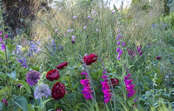 Naturalistic planting schemes to suit individual locations.