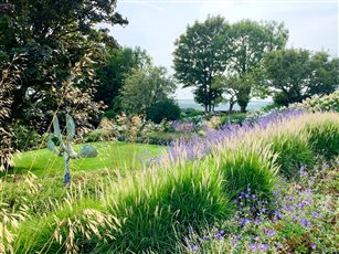 Swathes of grasses and blue flowers in the garden at Blue Doors, deep within the South Downs National Park