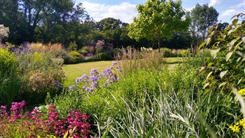 Reshaping and enlarging mixed borders on a huge scale around a series of lawns transformed  this garden, bringing year round colour, dynamic height, movement and interest. 