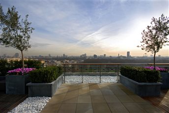A calm roof garden in central London with views across one of the Royal Parks.