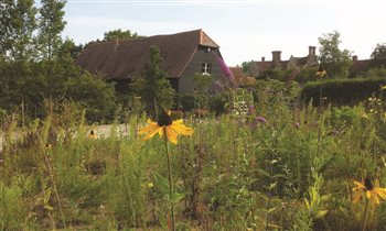 We were asked to design a number of gardens surrounding ab 18th century barn. We seeded a dry prairie meadow in the working farmyard opposite the house. Year one.