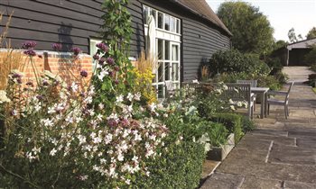We proposed edible gardening to create a homely atmosphere in this rural property -  small vegetable raised beds, incorporated neatly into bursting perennials - Gaura lindheimeri whirling butterflies pictured front.