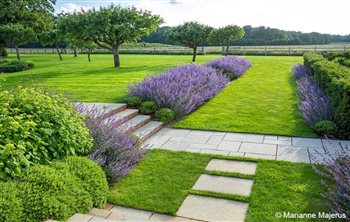 The Garden at Ridgmount won the 2017 SGD Large residential Garden Award
