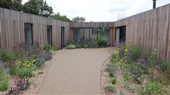 A drought tolerant courtyard gravel garden for an ultra-modern cedar clad house near Rye, East Sussex. Photographed here in its first summer.