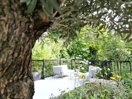 Winner: Adam Vetere  MSGD - Project: Treetop Garden - Image Ellie Walpole