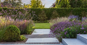 Contemporary family garden with naturalistic planting and textured paving contrasts.