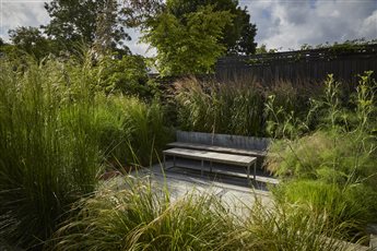 Tom Massey - Twickenham garden