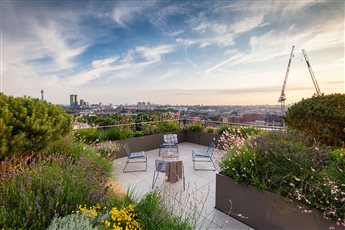 London Roof Garden designed by Emily Erlam Winner of the ‘Roof Garden’  SGD Awards 2017
