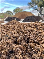 PlantGrow Organic Mulch to improve any soil type with long term nutrient release. Works with nature and will increase the microbiome of the soil. 