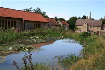 A new informal pond near Grantham, Lincolnshire