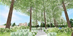 Freya Willetts - Godstow Abbey - London College of Garden Design