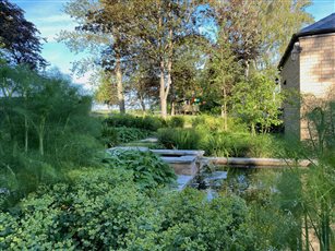 Expressive planting of textural green around water pools in a Northamptonshire garden