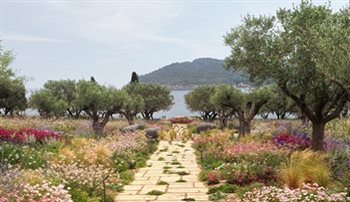 The Olive walk to the sea, Garden on Island of Spetses, Greece.