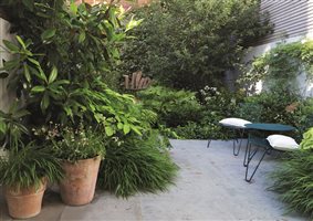 George Cullis MSGD - Chelsea Courtyard Garden