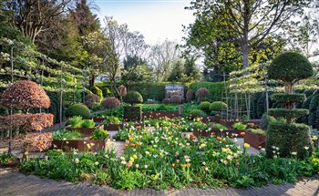 London Garden designed by Arne Maynard 