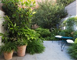 Winner: George Cullis MSGD - Project: Chelsea Courtyard Garden