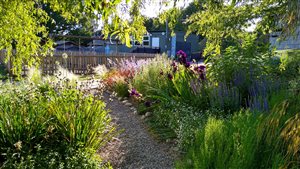 Kristina Clode - Sedlescombe Primary School Sensory Garden - Photo Abigail Rex