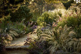 Matthew Childs - Surrey garden