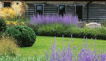 Keeping it simple with bold masses Russian Sage and grasses at Nursted Barns