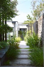 Front path through Japanese inspired city front courtyard garden designed whilst part of the Artisan Landscapes Design Studio team. 