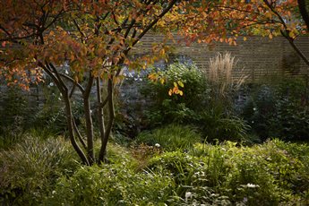 Cullis studio - Brockley garden