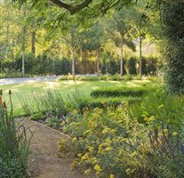 Andrew Wilson - Hertfordshire Garden
