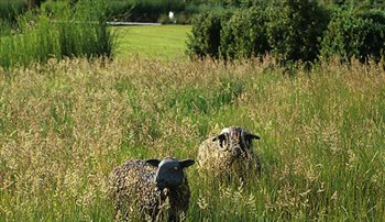 Sheep Sculpture by Jon Barrett-Danes in the long grass at Nursted Barns