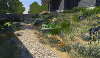Concept render of a coastal garden in West Sussex.  The house is raised so a dune-bank style planting was chosen