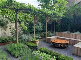 Garden Club London, Principal Designer Tony Woods MSGD - BOROUGH - City Sanctuary