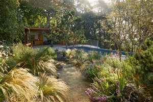 Matthew Childs - Heathside pool garden - Image Alister Thorpe