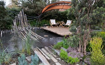 Beyond the Screen, sponsored by Facebook, Chelsea Flower Show 2019 won three awards a Gold medal, best in category and best construction. 