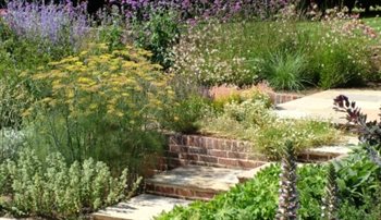 Steps leading through textural planting.  