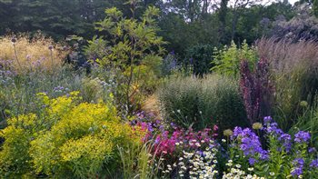 Sumptuous mixed border planting creates height, movement, colour, year round interest and a haven for wildlife.