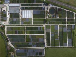 An aerial image of the nursery showing the amount of stock that we hold all year round