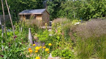 A wildlife friendly Eco house garden designed with resident bats in mind, local and reclaimed materials, bio-diverse, low carbon, this garden won the 'Design for the Environment' SGD Award 2022.