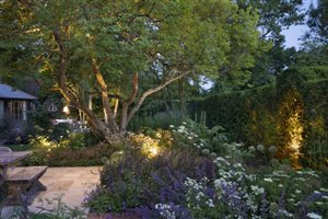 Sue Townsend MSGD - Apothecary Family Garden - Image by Richard Bloom