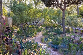 The Nurture Landscapes Garden designed by
Sarah Price, Gold medal winner at the RHS Chelsea Flower Show 2023
