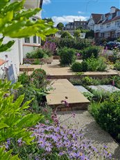 City front garden transformed from parking to richly planted garden. Designed whilst part of the Artisan Landscapes Design Studio team. 