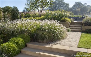 Pennisetum grasses with stone and cobble paving catching the autumn sunlight