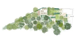 Freya Willetts - Wood Wide Web Garden - London College of Garden Design