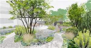 Kate Mackay Roberts - Rocky Flow - London College of Garden Design