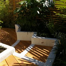 Steps between two areas of a split level, 'holiday feel' small garden.
