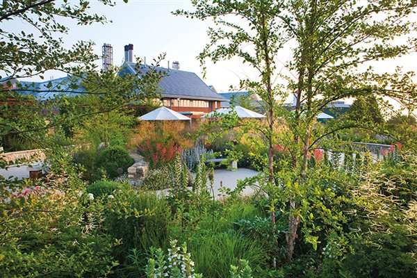 Project: Therapeutic garden, Salisbury